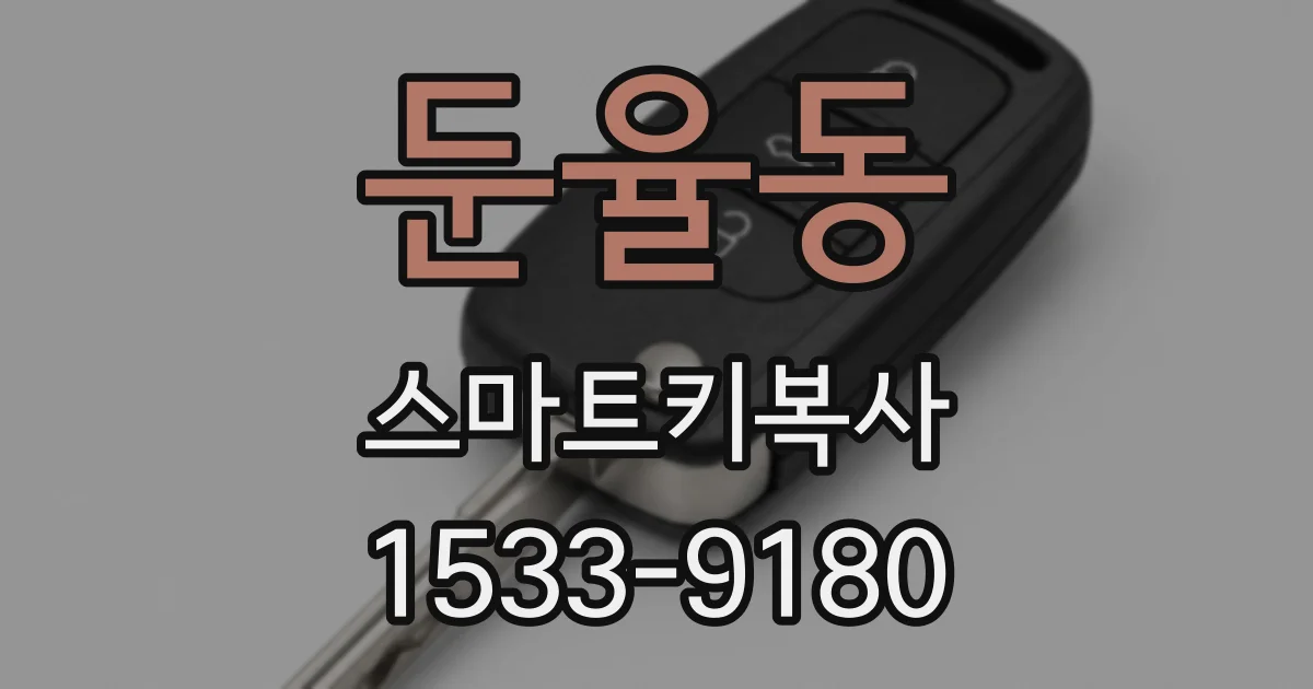 둔율동 스마트키복사