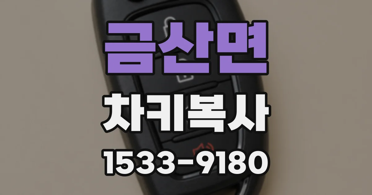 금산면 차키복사