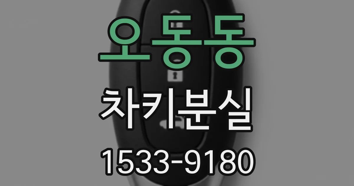 오동동 차키분실