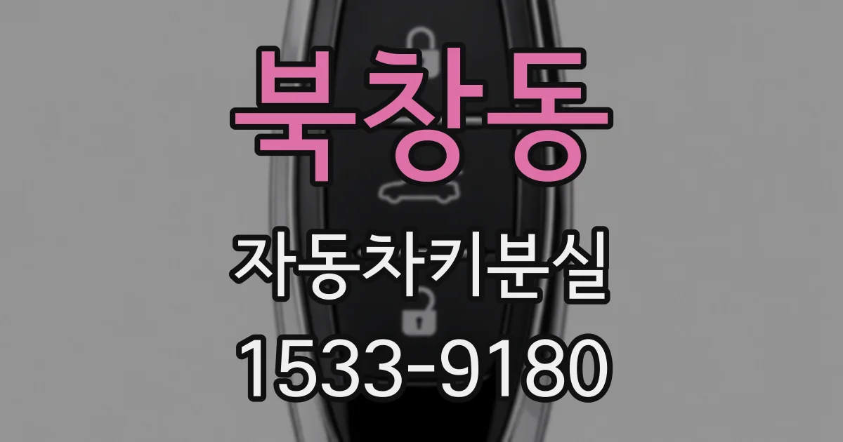 북창동 자동차키분실