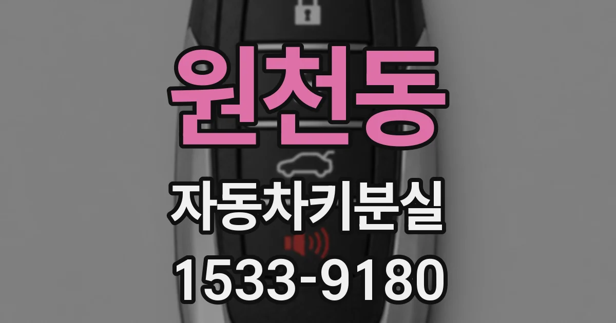 원천동 자동차키분실