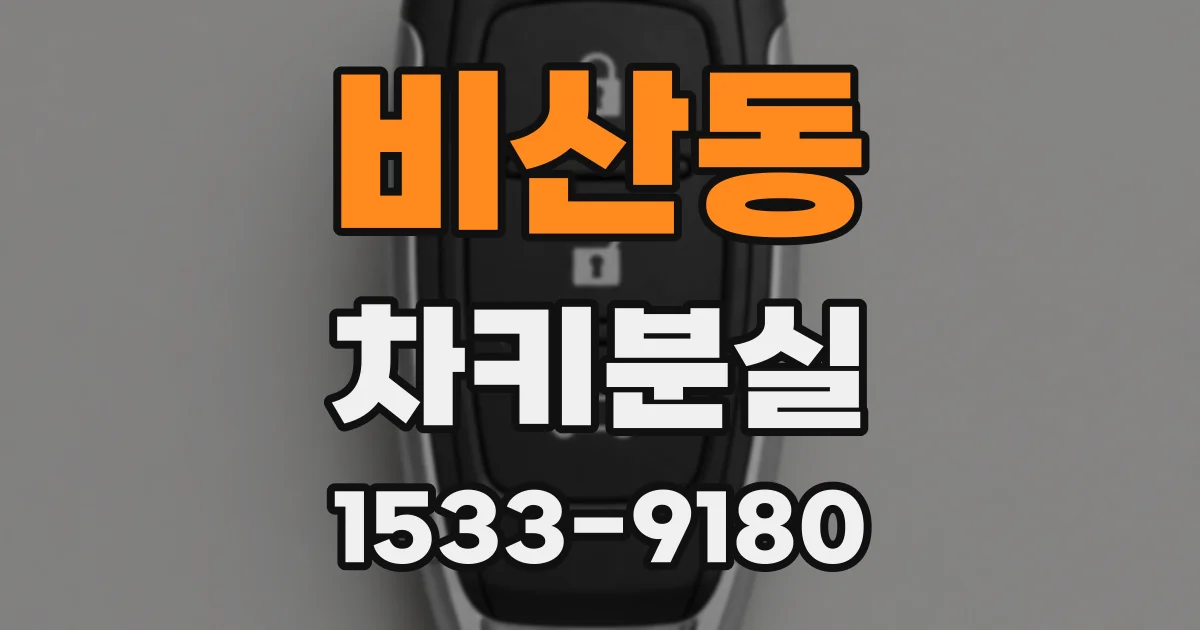 비산동 차키분실