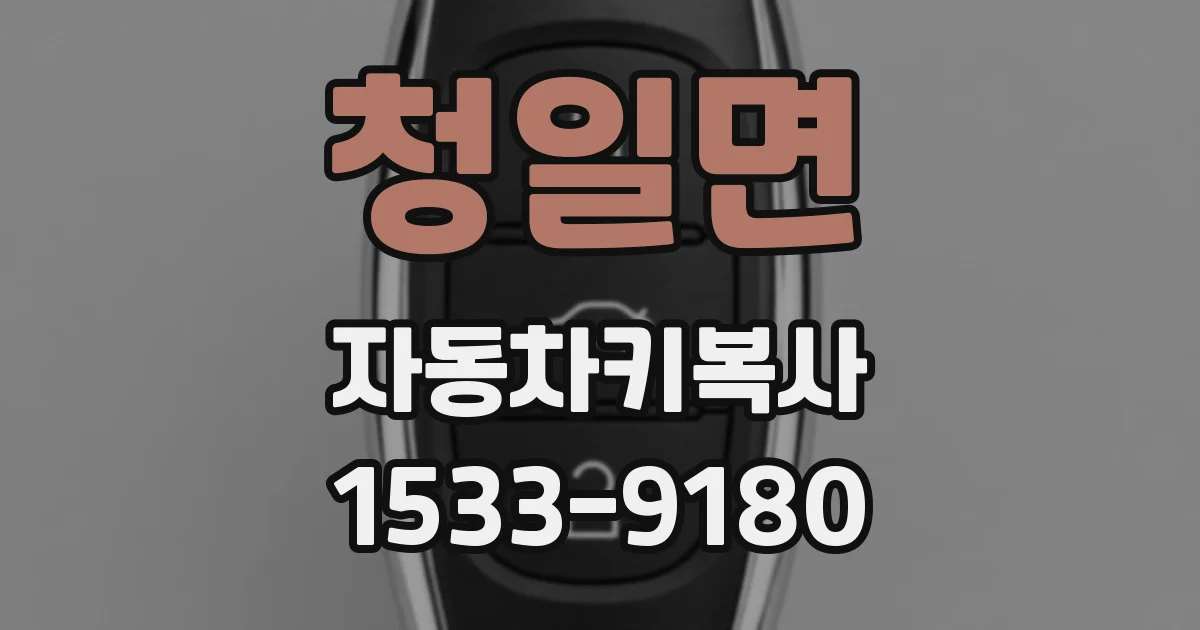 청일면 자동차키복사