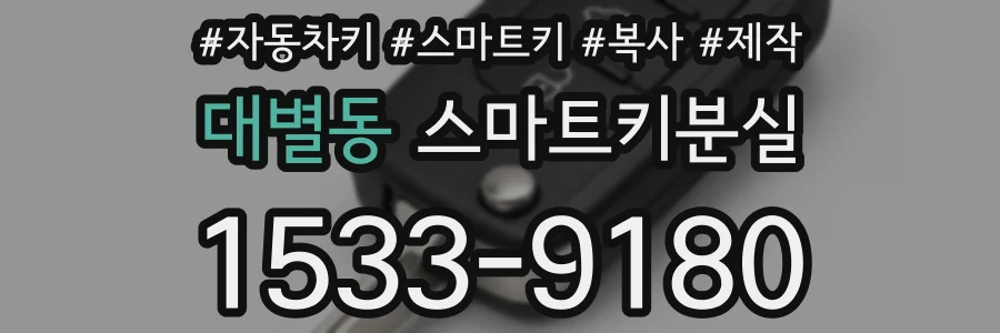 대별동 스마트키분실
