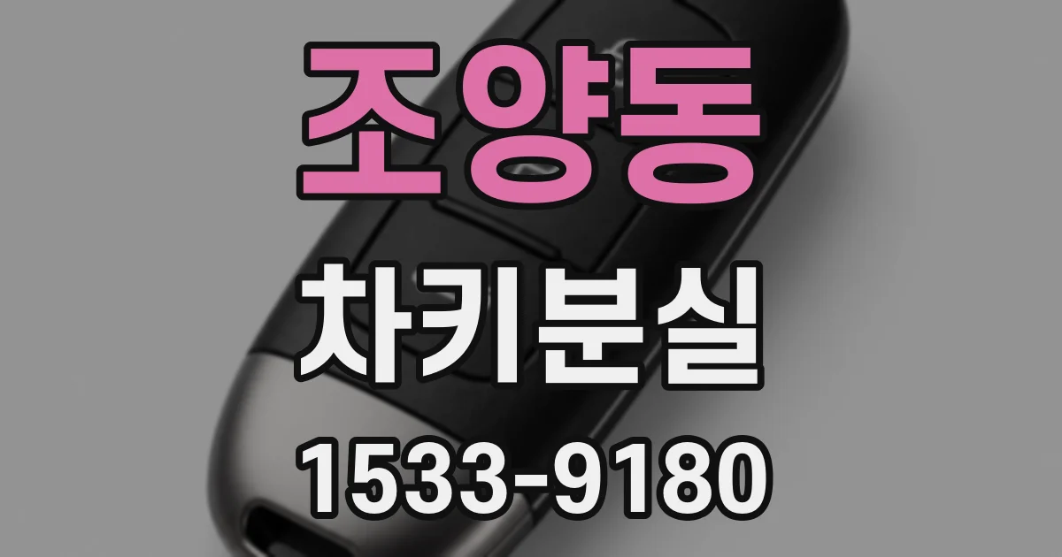 조양동 차키분실