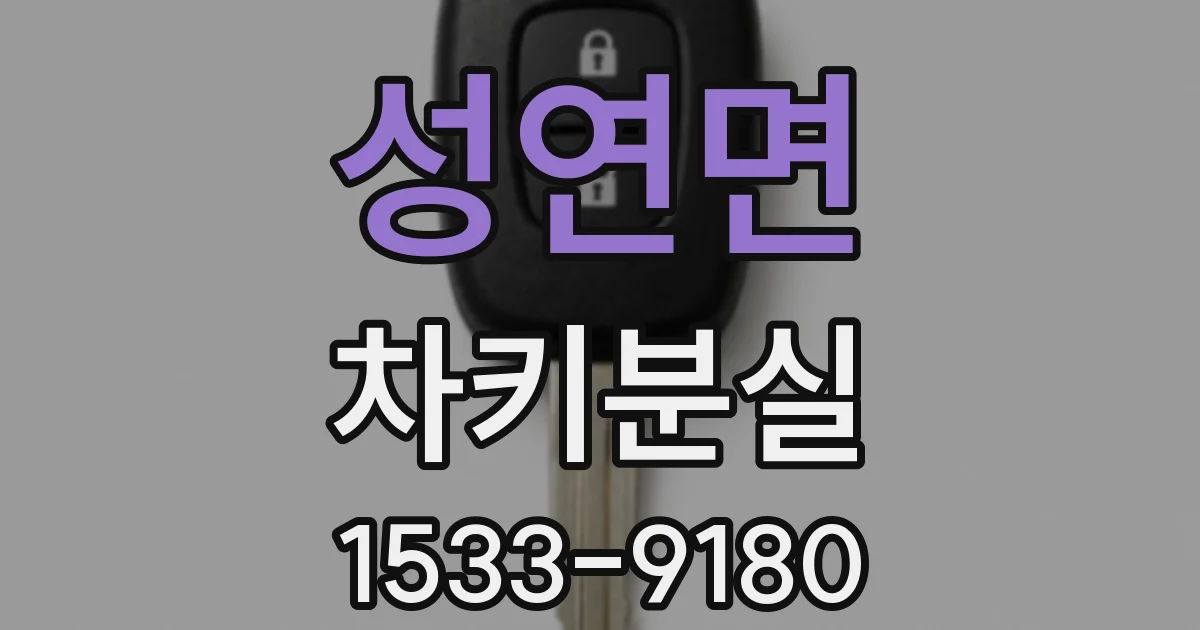 성연면 차키분실