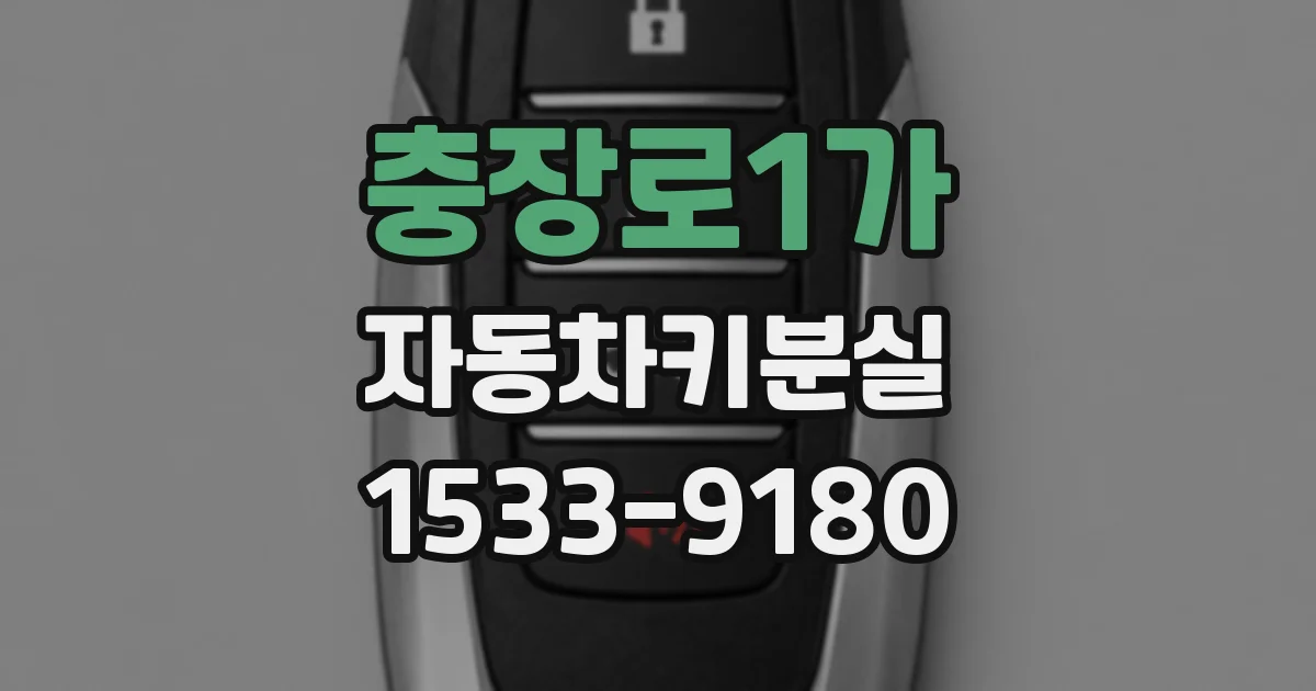 충장로1가 자동차키분실