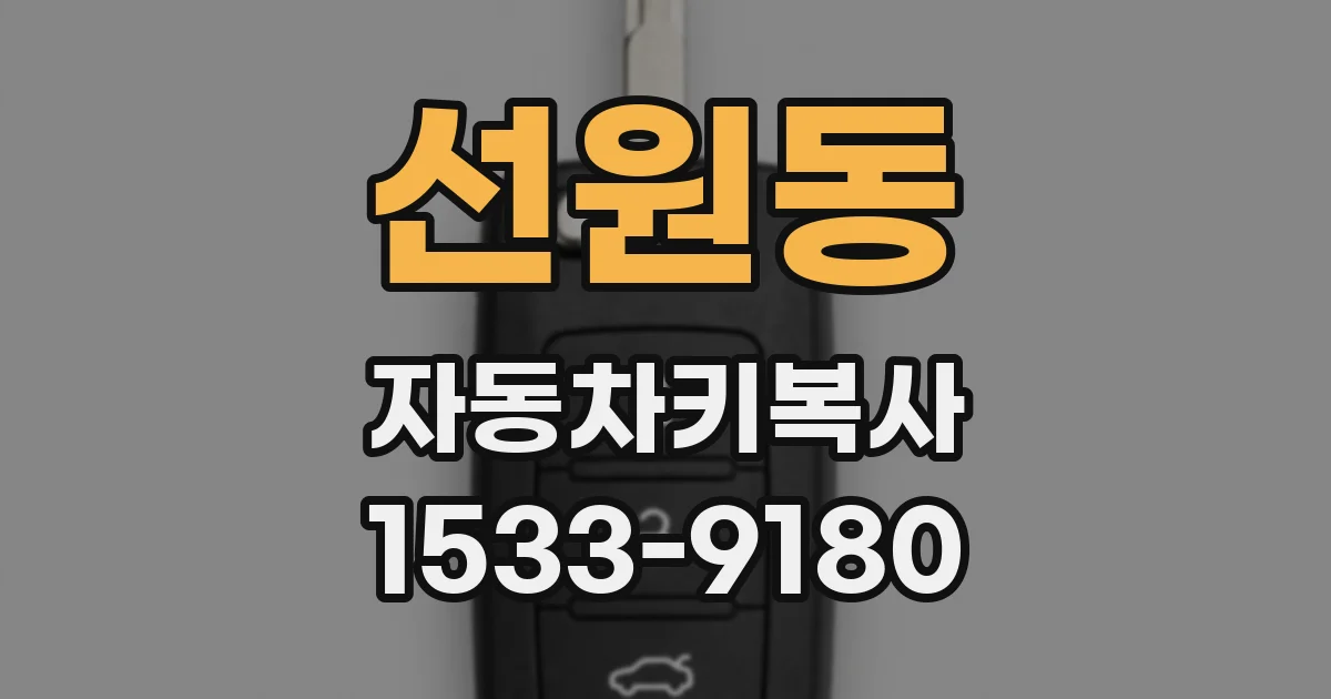 선원동 자동차키복사