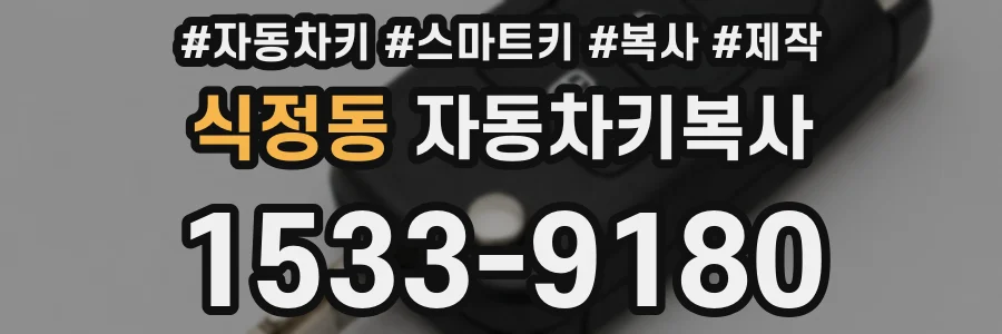 식정동 자동차키복사