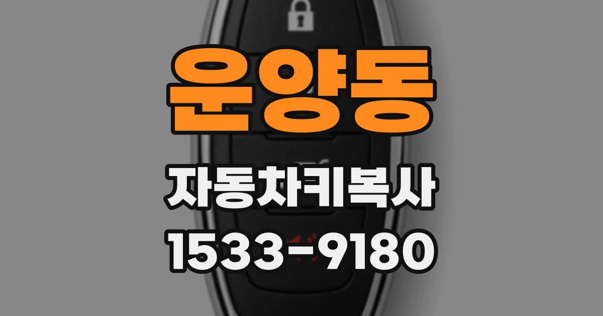 운양동 자동차키복사