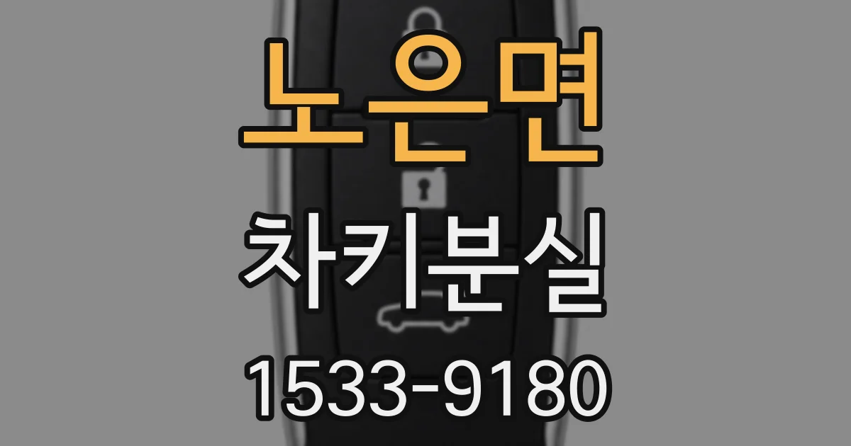 노은면 차키분실