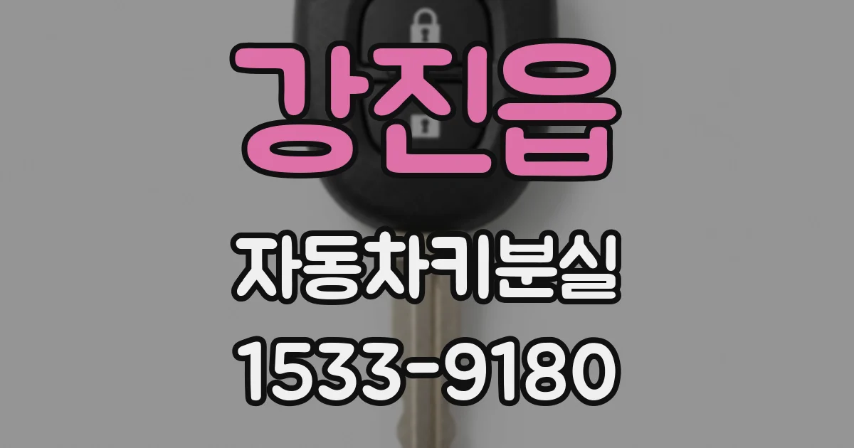 강진읍 자동차키분실