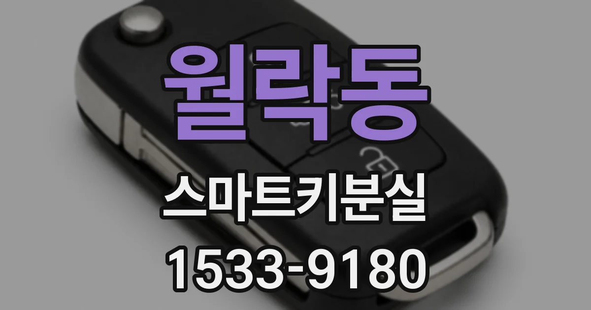 월락동 스마트키분실