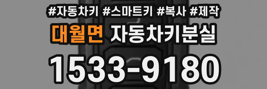 대월면 자동차키분실