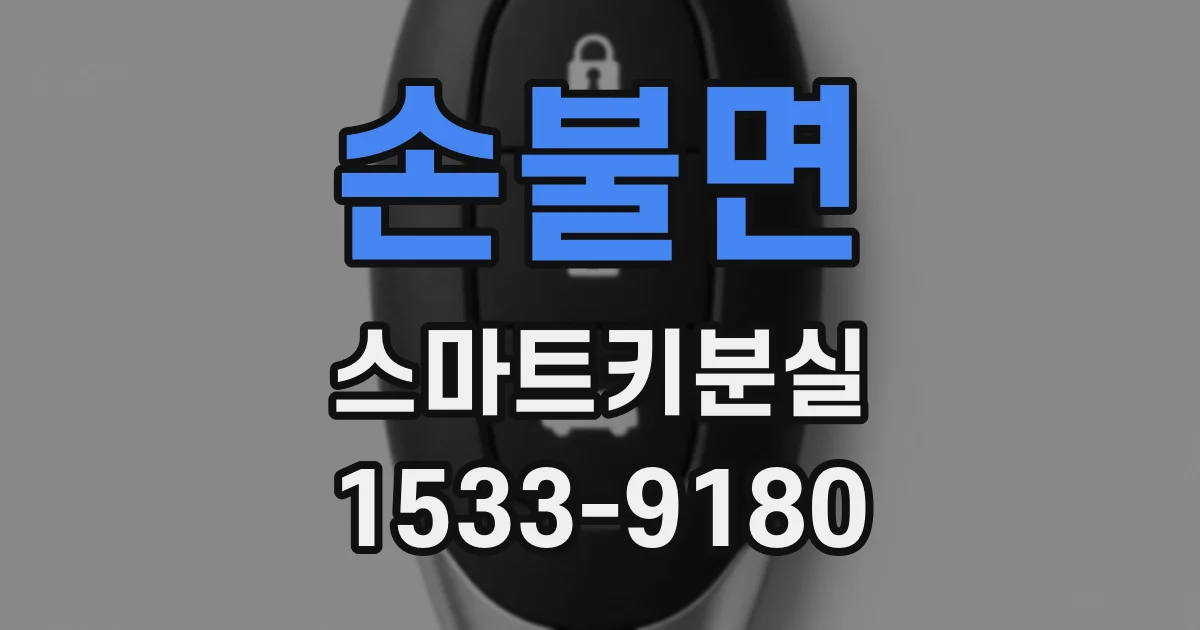 손불면 스마트키분실