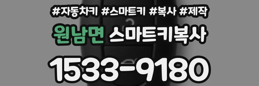 원남면 스마트키복사