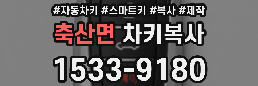축산면 차키복사