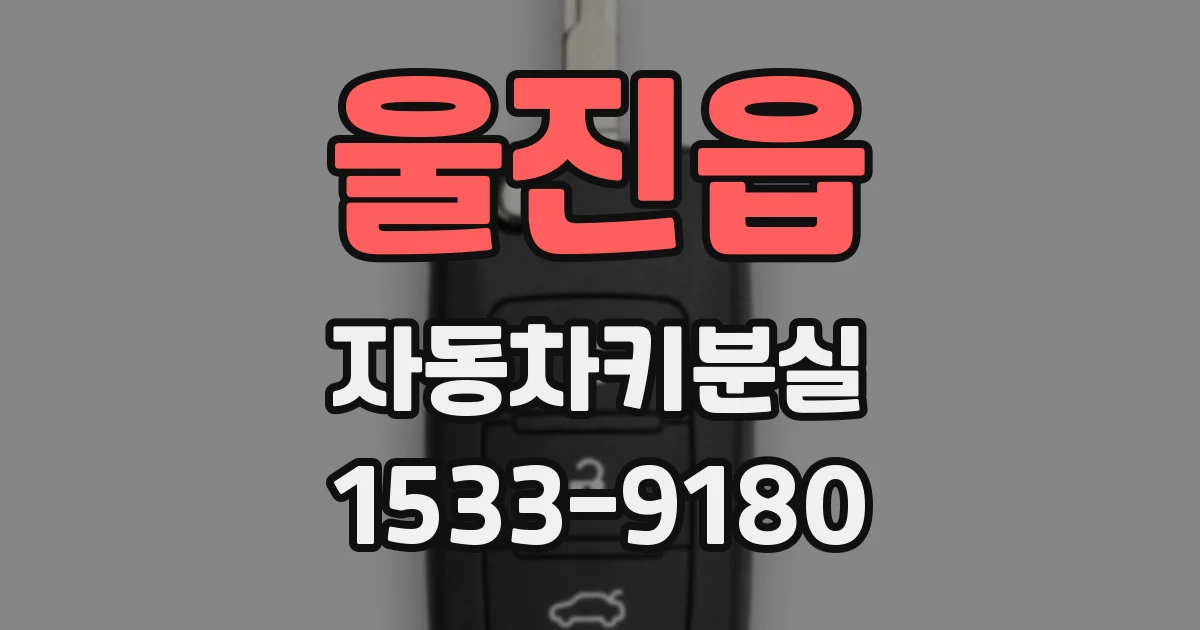 울진읍 자동차키분실