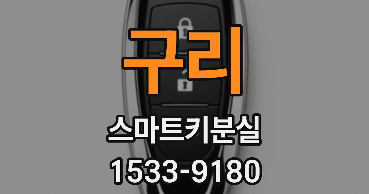 구리 스마트키분실