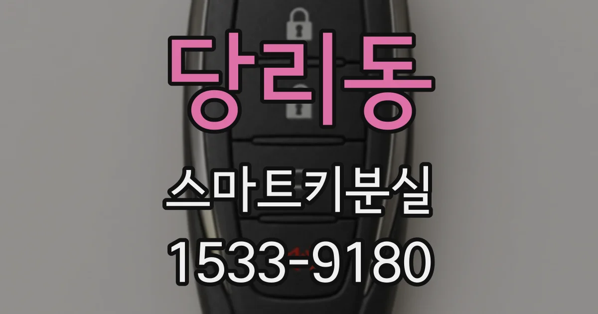 당리동 스마트키분실