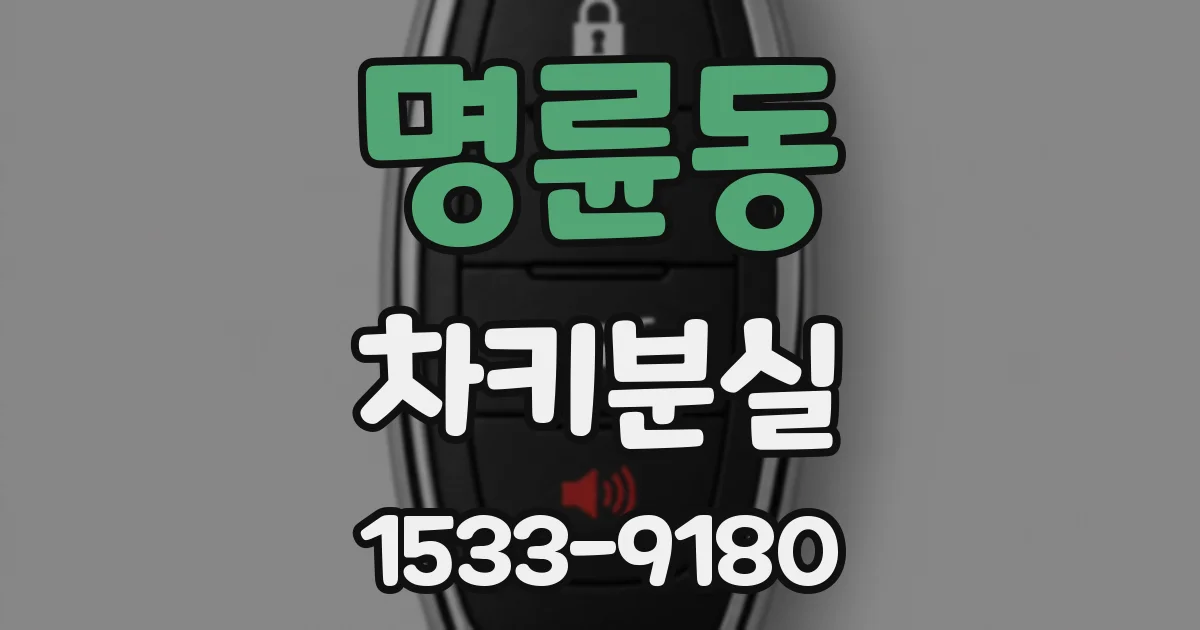명륜동 차키분실