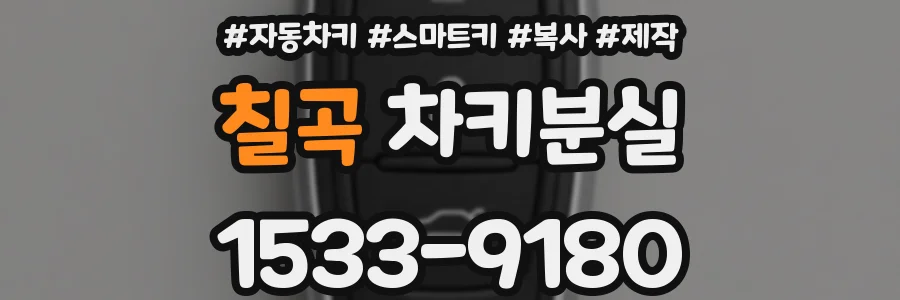 칠곡 차키분실