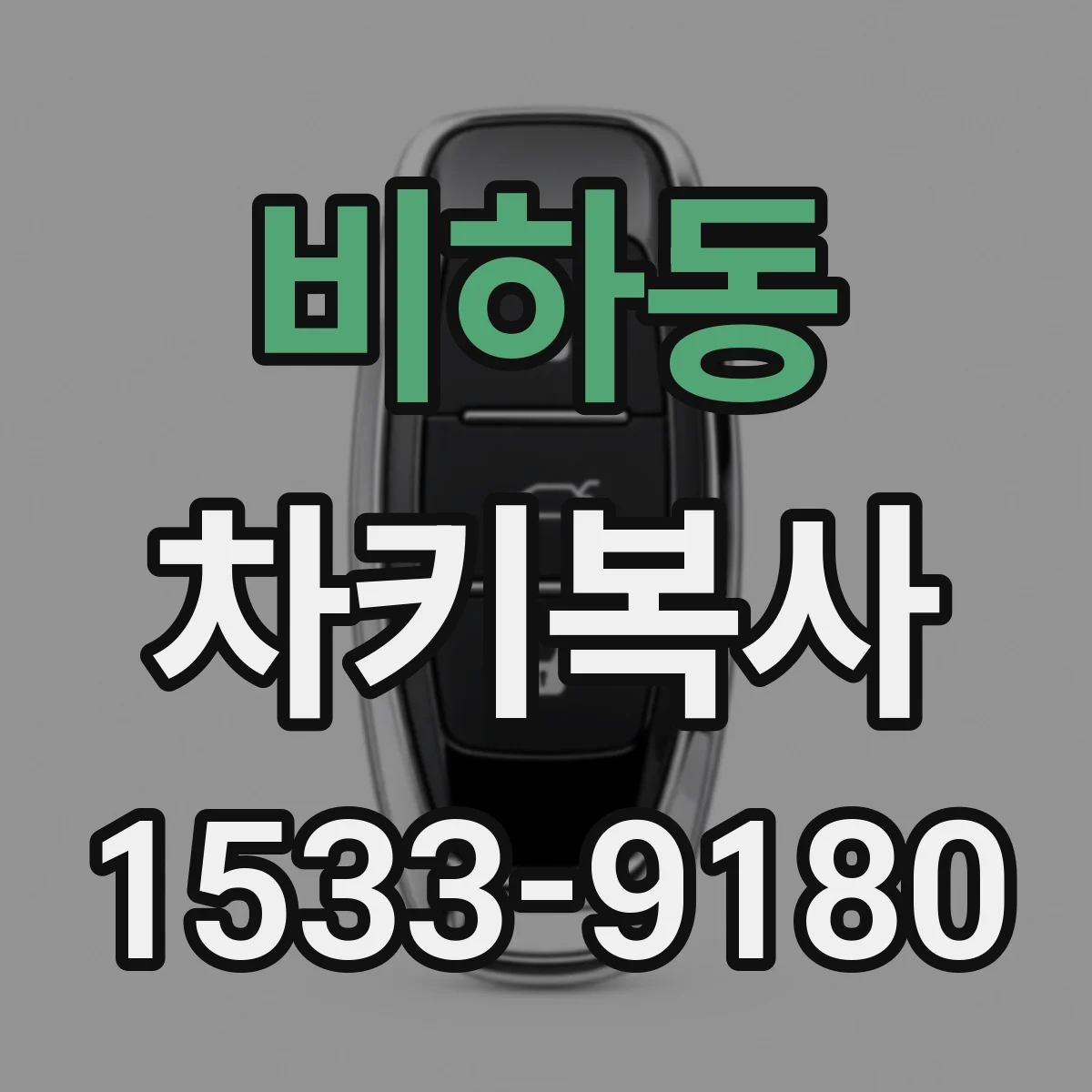 비하동 차키복사
