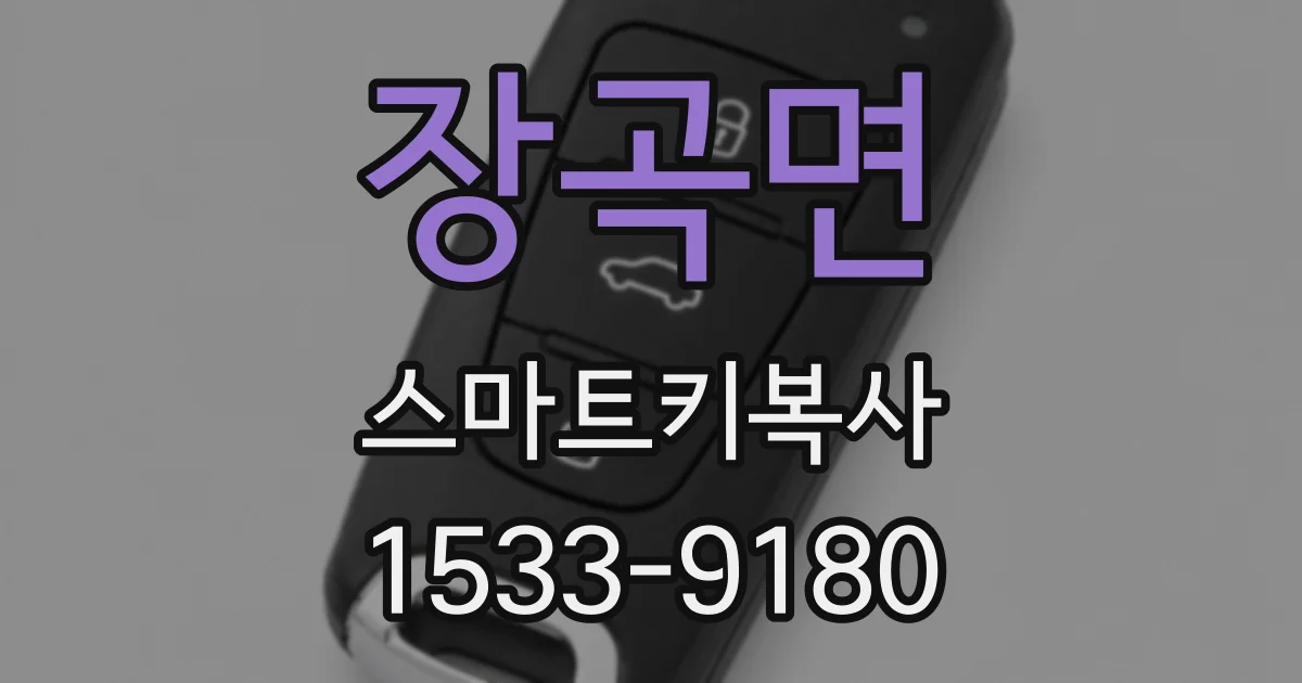 장곡면 스마트키복사