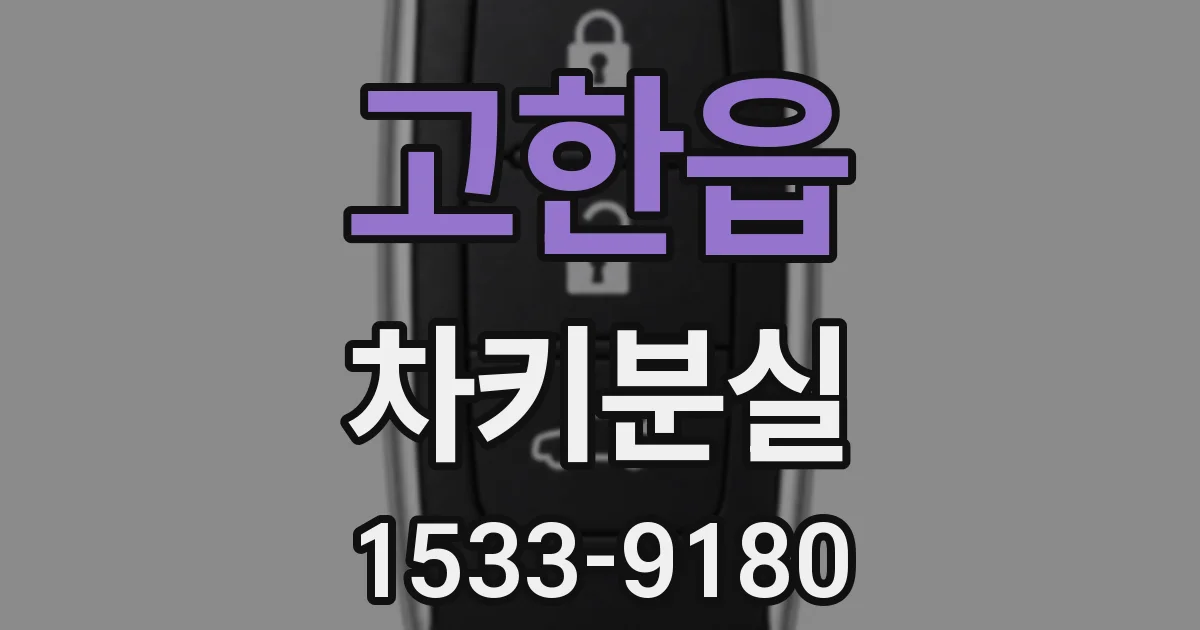 고한읍 차키분실
