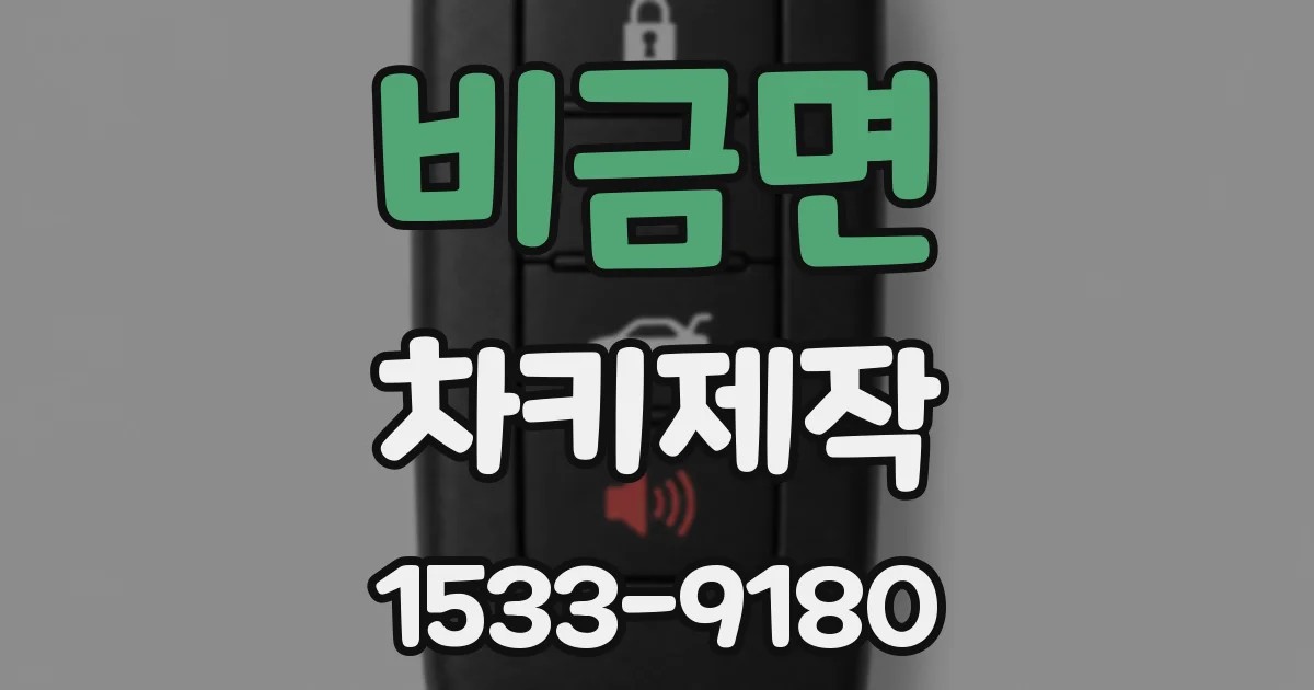 비금면 차키제작