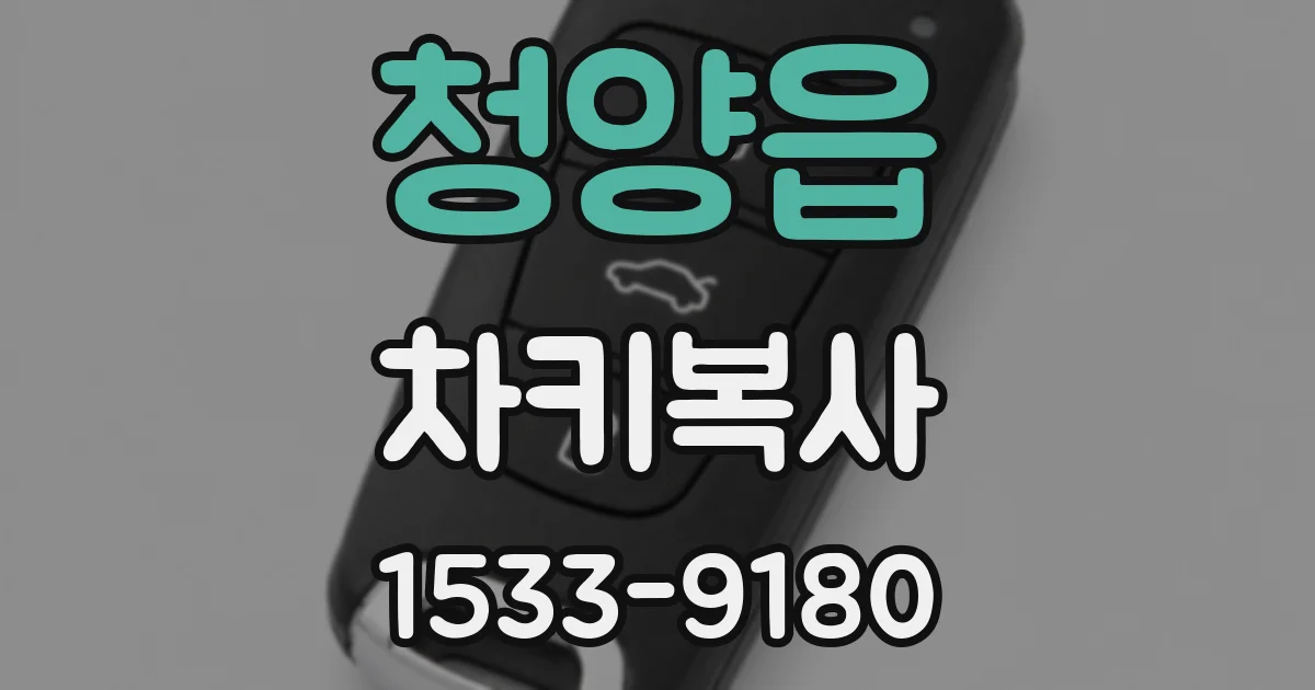 청양읍 차키복사