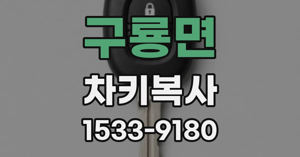 구룡면 차키복사