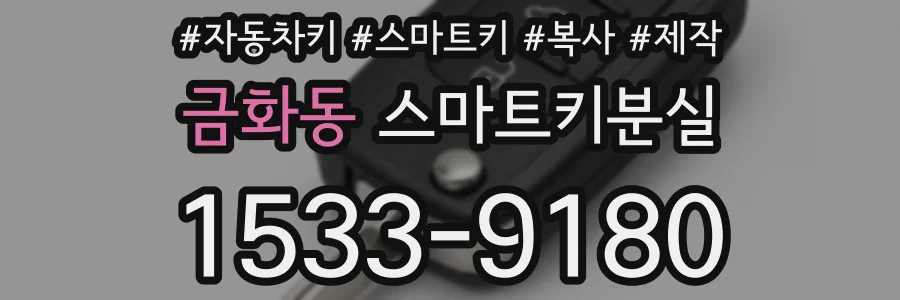 금화동 스마트키분실