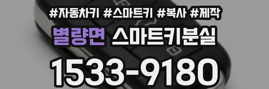 별량면 스마트키분실