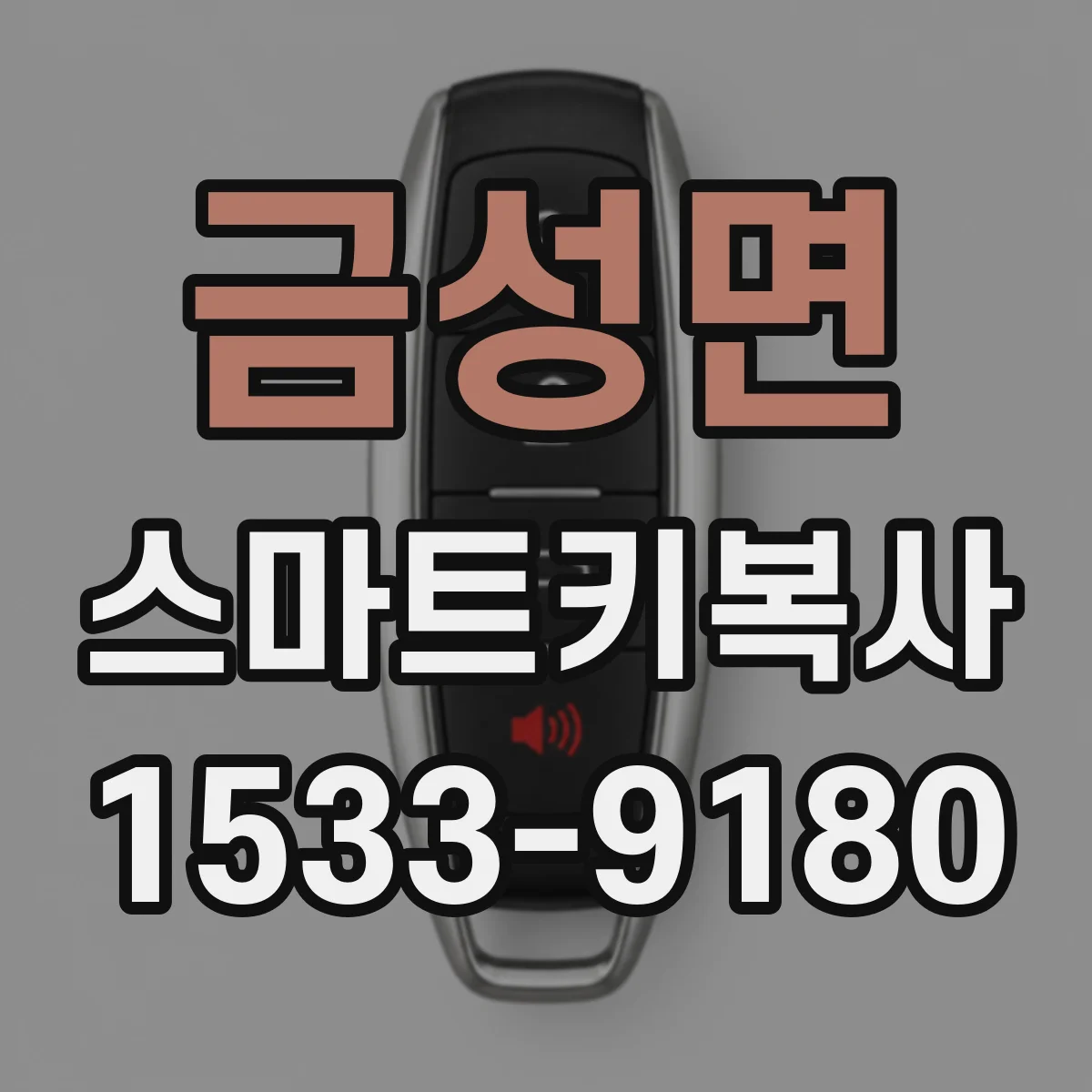 금성면 스마트키복사