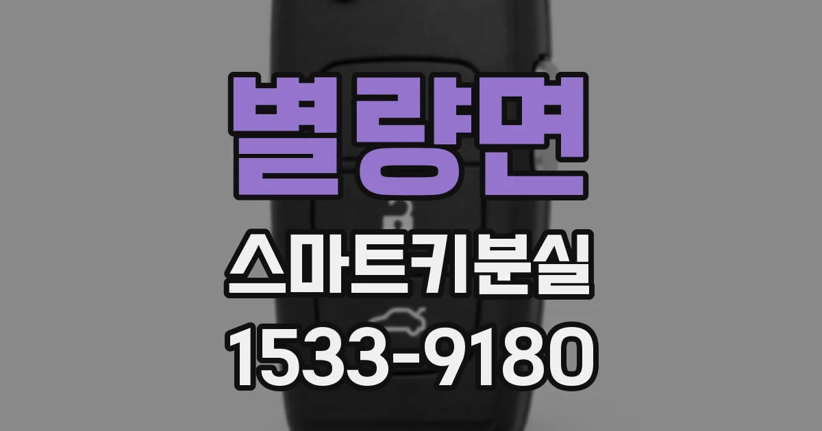 별량면 스마트키분실