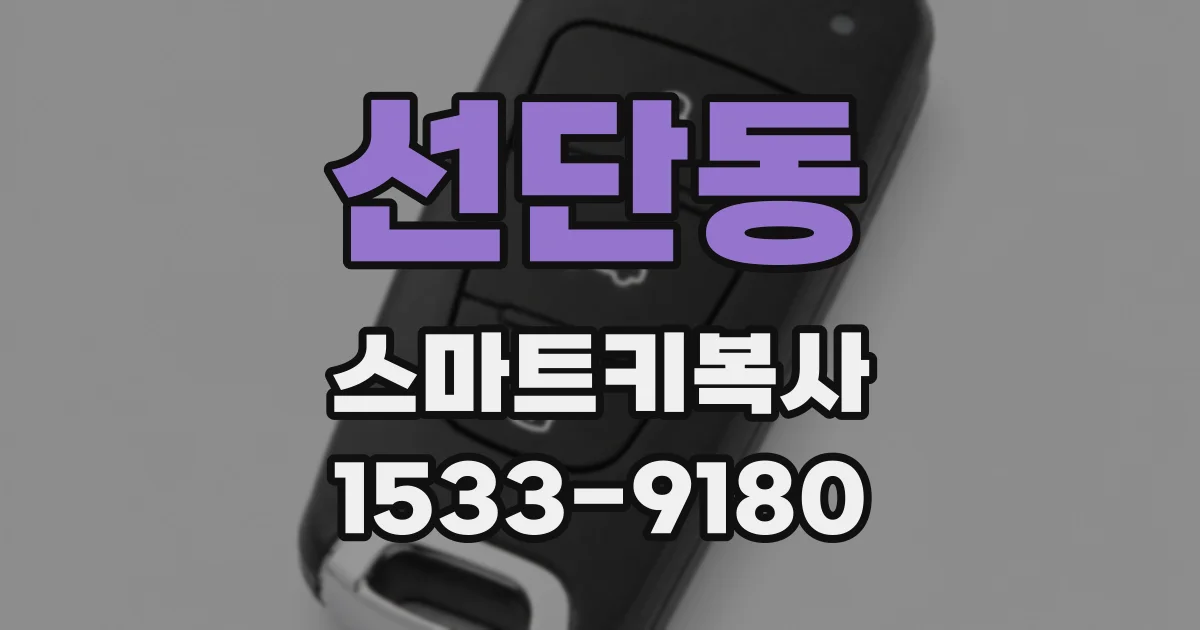 선단동 스마트키복사