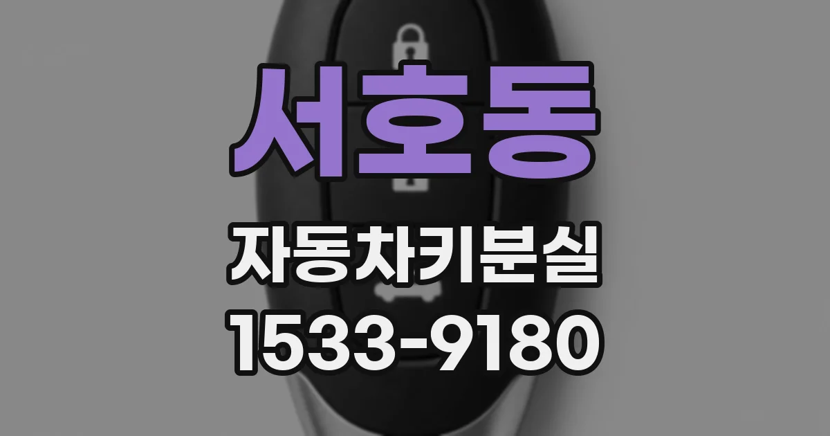 서호동 자동차키분실