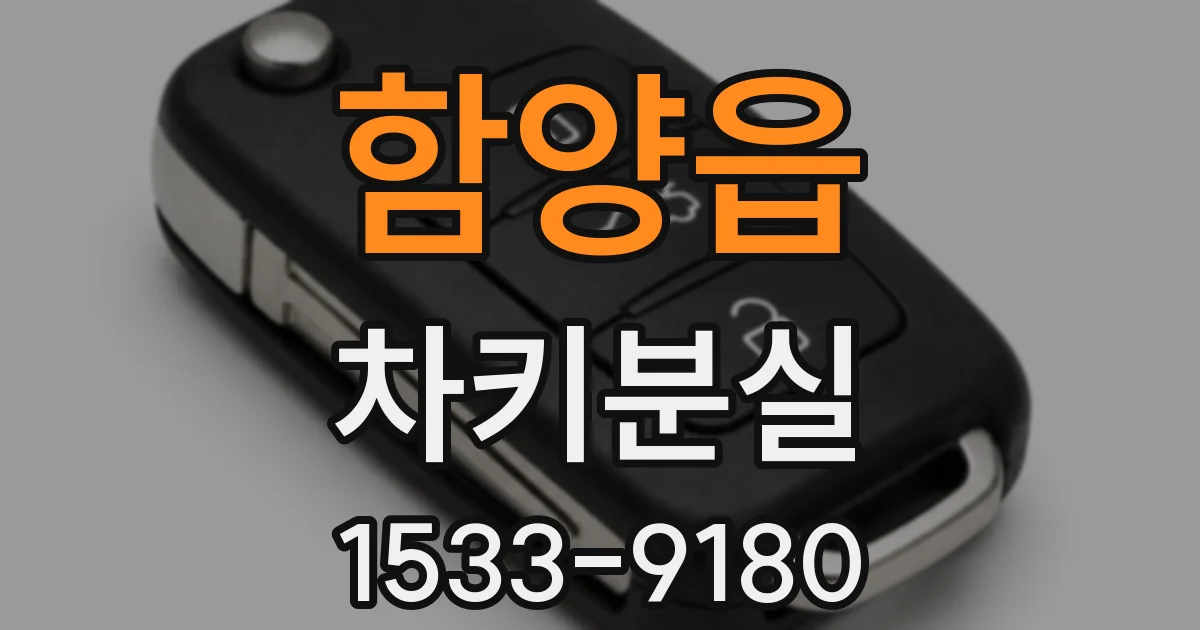 함양읍 차키분실