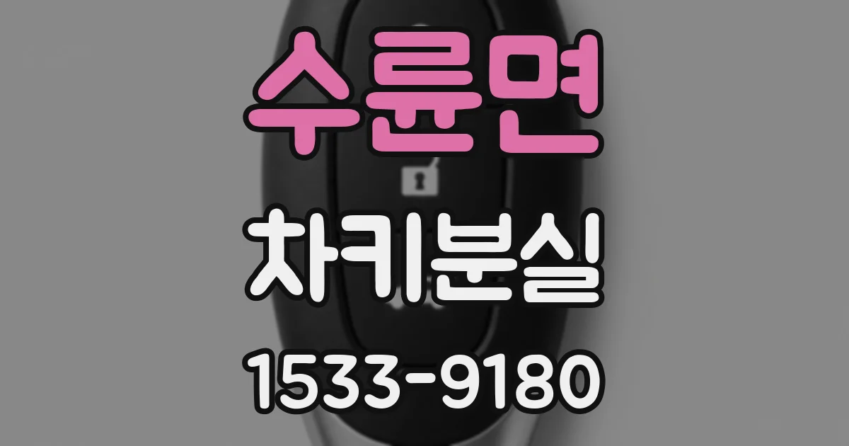 수륜면 차키분실