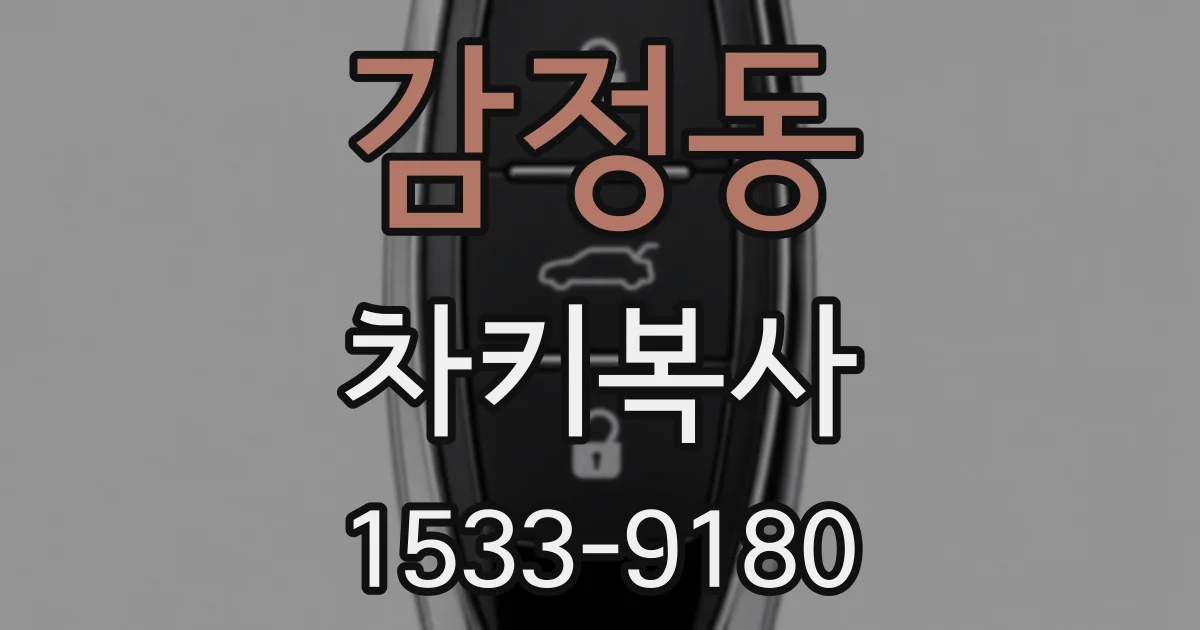 감정동 차키복사