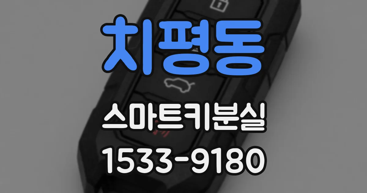 치평동 스마트키분실