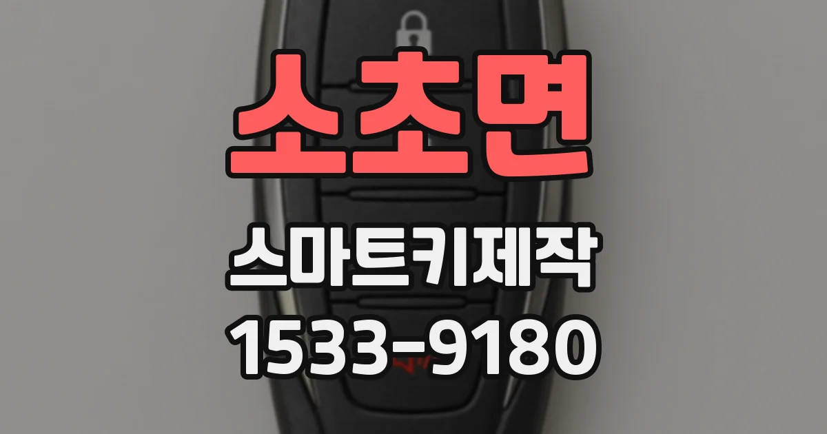 소초면 스마트키제작