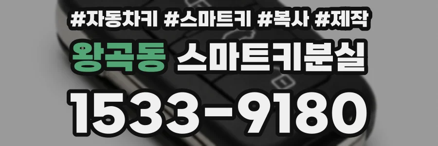 왕곡동 스마트키분실