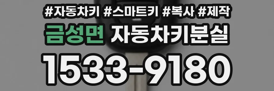 금성면 자동차키분실
