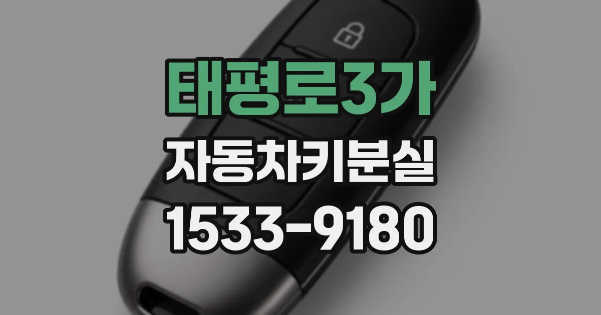태평로3가 자동차키분실