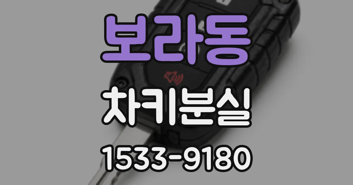 보라동 차키분실