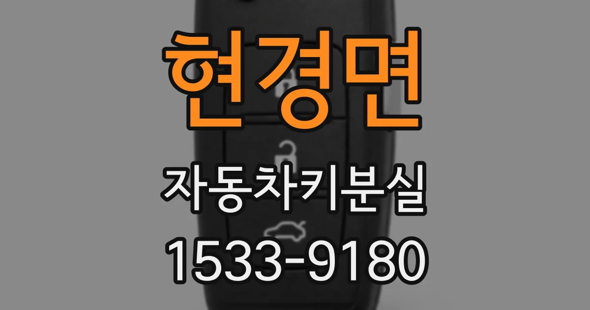 현경면 자동차키분실