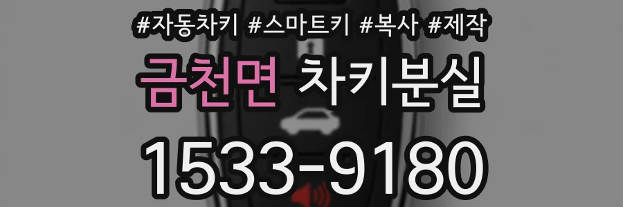 금천면 차키분실