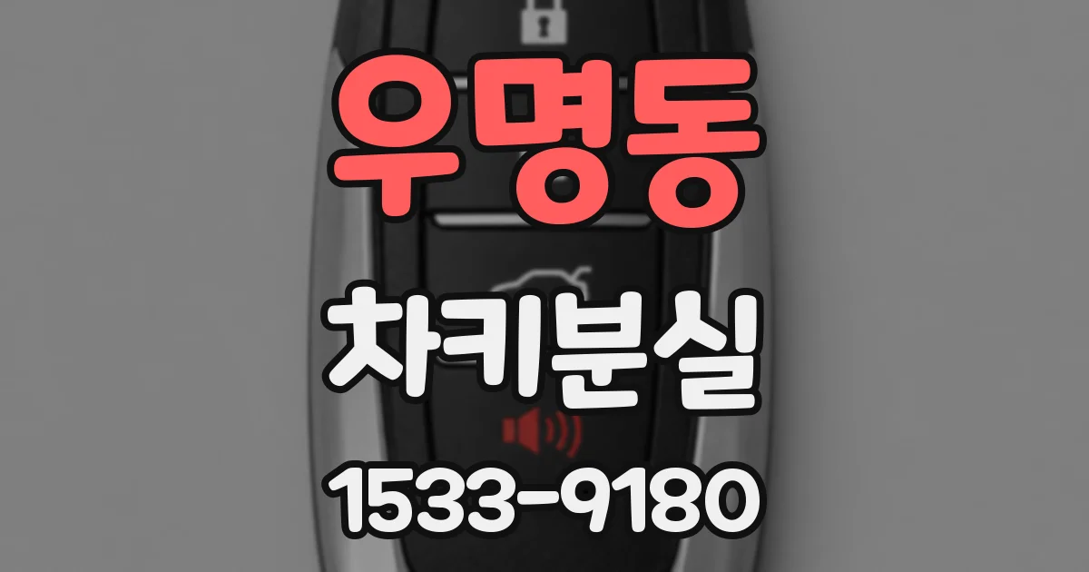 우명동 차키분실